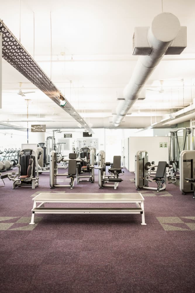 1000m² Trainingsfläche