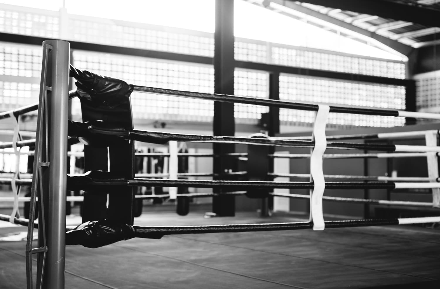 Das Simbasports Gym in Wien-Floridsdorf – Standort & Ausstattung