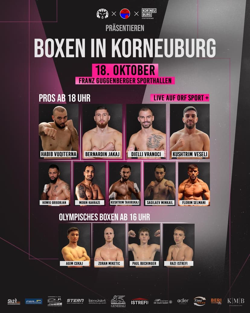 Boxen in Korneuburg